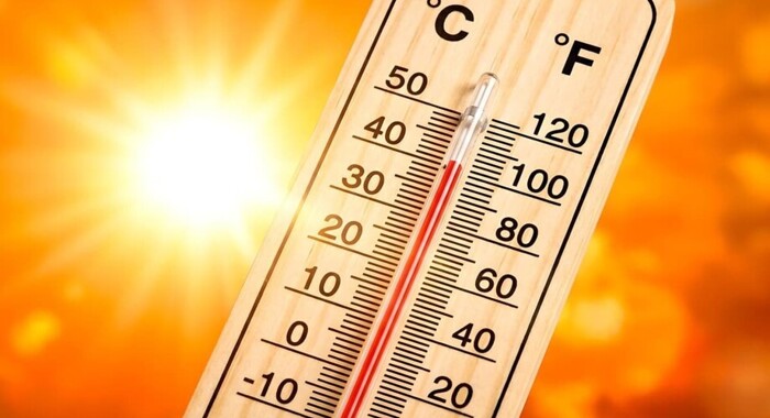 Warm Weather Arrangements&nbsp;